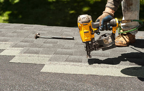 Best Roof Gutter Cleaning  in Madison Heights, VA