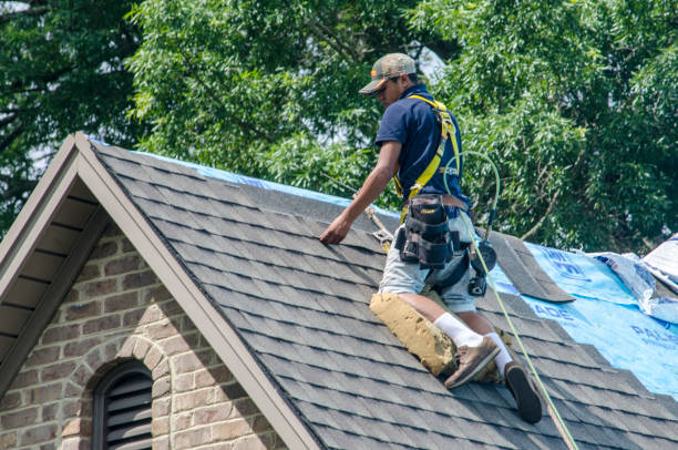 Best Roof Waterproofing Services  in Madison Heights, VA